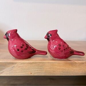 Ceramic cardinal salt and pepper shakers